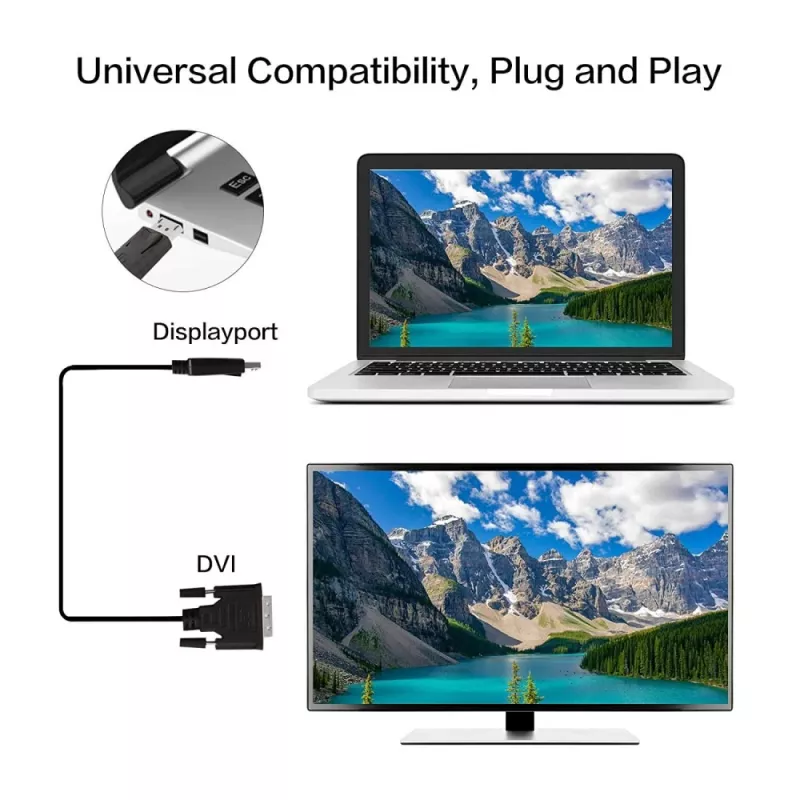 Techly καλώδιο οθόνης DisplayPort σε DVI 2 m ICOC DSP-C-020
