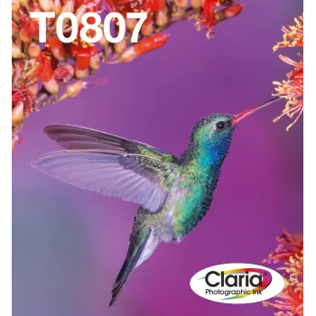 Πολυσυσκευασία μελανοδοχείων Epson Hummingbird T0807 — 6 χρώματα (Μαύρο, Cyan, LightCyan, LightMagenta, Magenta, Κίτρινο)