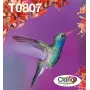 Πολυσυσκευασία μελανοδοχείων Epson Hummingbird T0807 — 6 χρώματα (Μαύρο, Cyan, LightCyan, LightMagenta, Magenta, Κίτρινο)