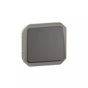 Legrand 069841L διακόπτης φωτός