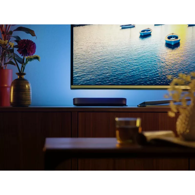 Philips Hue Play light bars Starter-Kit – 2 Play light bars + Hue Bridge Pro, Bluetooth, μαύρο, βύσμα Type-C