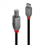 Lindy 2m Καλώδιο USB 2.0 Type-C σε B, Anthra Line, 2 m, USB C, USB B, USB 2.0, 0,48 Gbit/s, Μαύρο