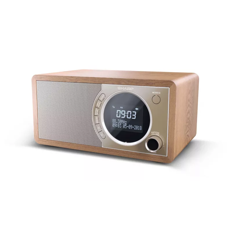Sharp DR-450 Personal Digital καφέ, ανοξείδωτο ατσάλι