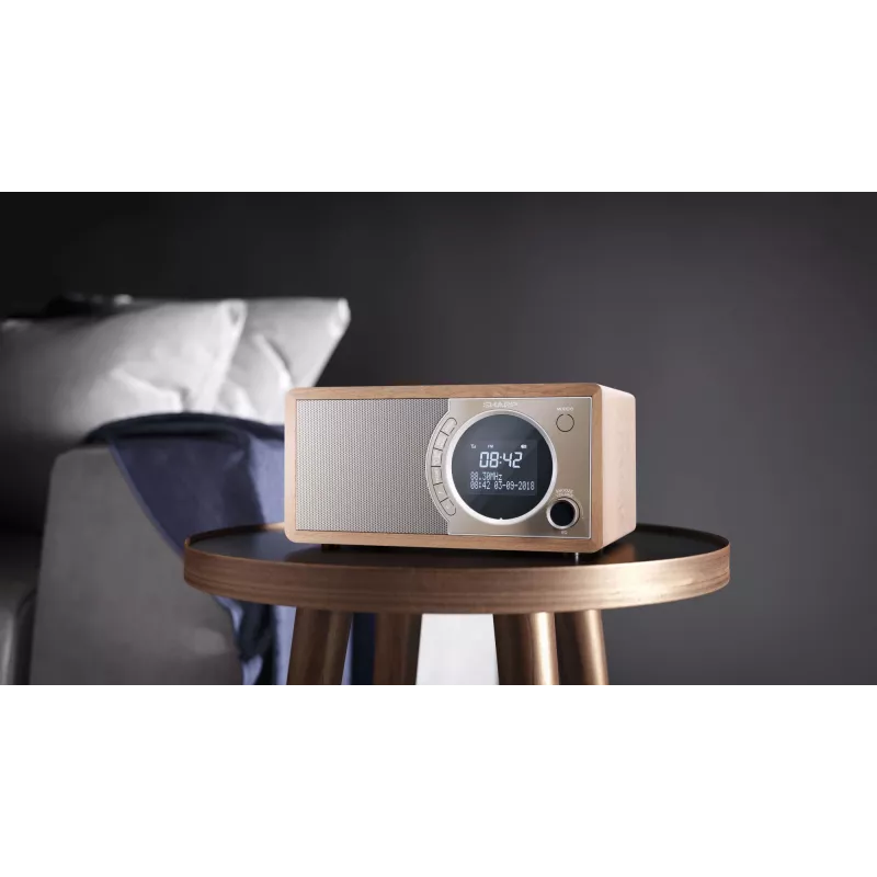 Sharp DR-450 Personal Digital καφέ, ανοξείδωτο ατσάλι