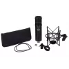 Μικρόφωνο στούντιο Warm Audio WA-47JR μαύρο
