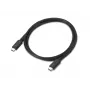 Lenovo | Καλώδιο Thunderbolt 4 USB-C σε C, 1 m