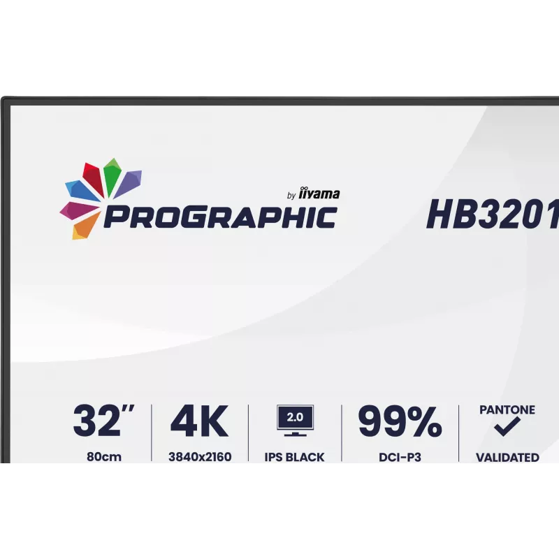 IIYAMA 32 ίντσες ProGraphic HB3201UHSNP-B1 4K UHD IPS οθόνη LCD με USB-C και DisplayPort