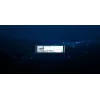 Kingston Technology 240G DC2000B PCIe 4.0 M.2 2280 Enterprise SSD (χωρίς ψύκτρα)