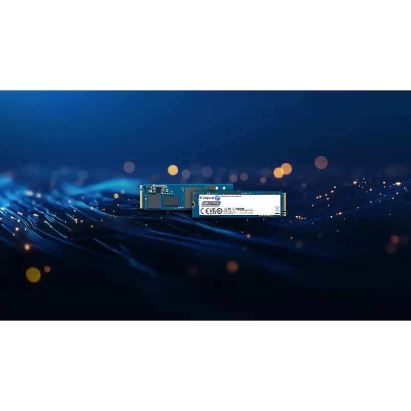 Kingston Technology 240G DC2000B PCIe 4.0 M.2 2280 Enterprise SSD (χωρίς ψύκτρα)