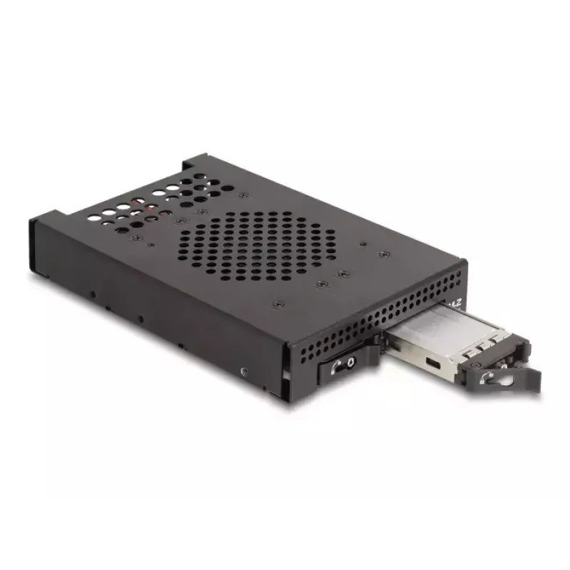 HDD Cage DeLOCK 47070 συμβατό με rack μέταλλο πλάτος 100 mm