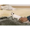 Schleich Galloway-Kuh 13960 Μαύρο-Λευκό Συνιστώμενη ηλικία 3+