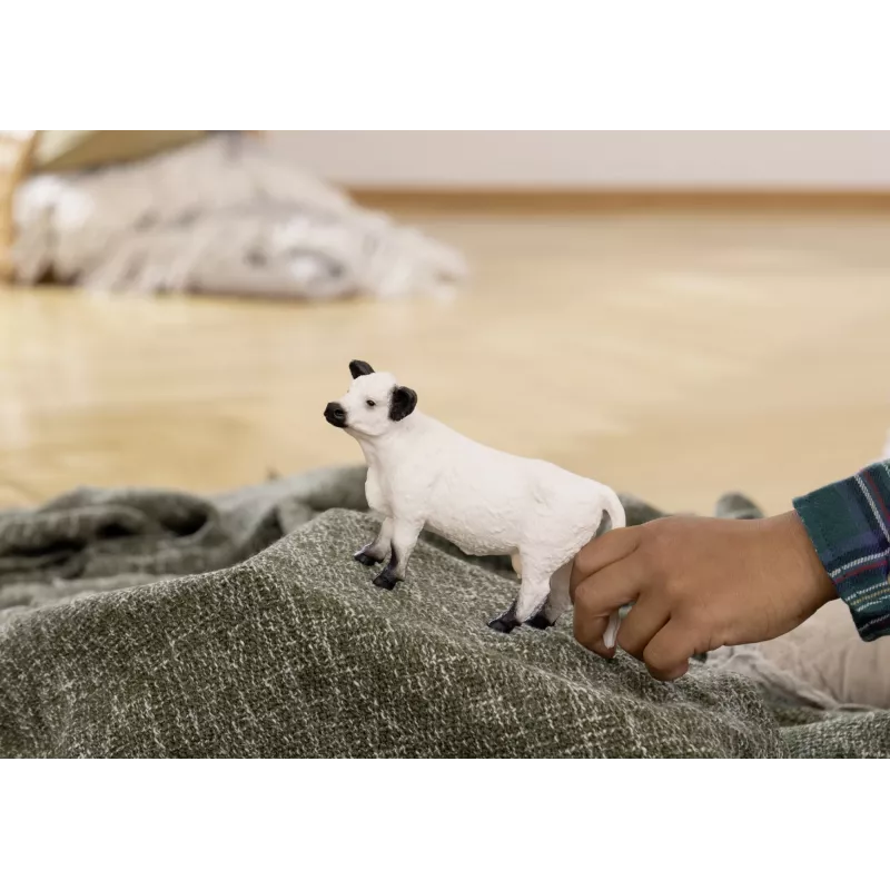 Schleich Galloway-Kuh 13960 Μαύρο-Λευκό Συνιστώμενη ηλικία 3+