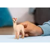 Φιγούρα Schleich BAYALA Lama-Einhorn-Fohlen, καφέ, από 5 ετών