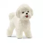 schleich Bichon Frisé, 3 έτη, σκύλοι, ζώα φάρμας / παιχνίδι φάρμας, λευκό, πλαστικό