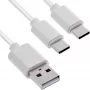 InLine 35122W Καλώδιο USB USB 2.0 2 m USB A 2 x USB C λευκό