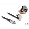Καλώδιο δεδομένων και φόρτισης DeLOCK USB Type-C σε Lightning 1 m 3 A