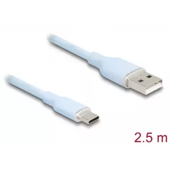 DeLOCK Καλώδιο USB USB 2.0 2,5 m USB A USB C μπλε