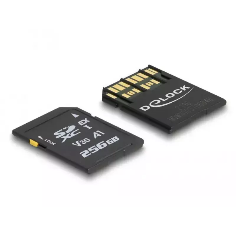 Κάρτα μνήμης DeLOCK 256 GB SD UHS-I 54091