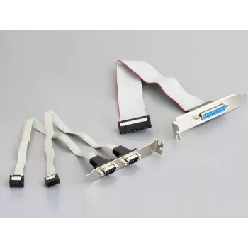 Κάρτα διασύνδεσης DeLOCK 95232