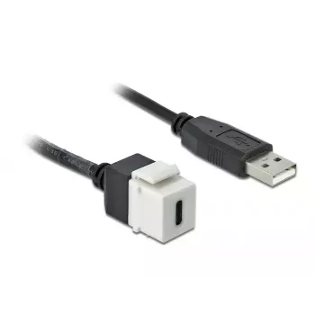 Μονάδα Keystone DeLOCK 86382 επίπεδη μαύρο λευκό USB C