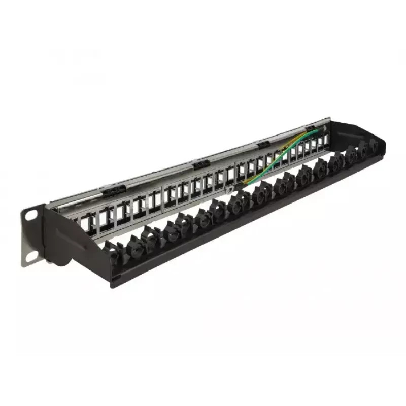 Patch Panel DeLOCK 19 ιντσών 24 θυρών με ράγα οδήγησης καλωδίων
