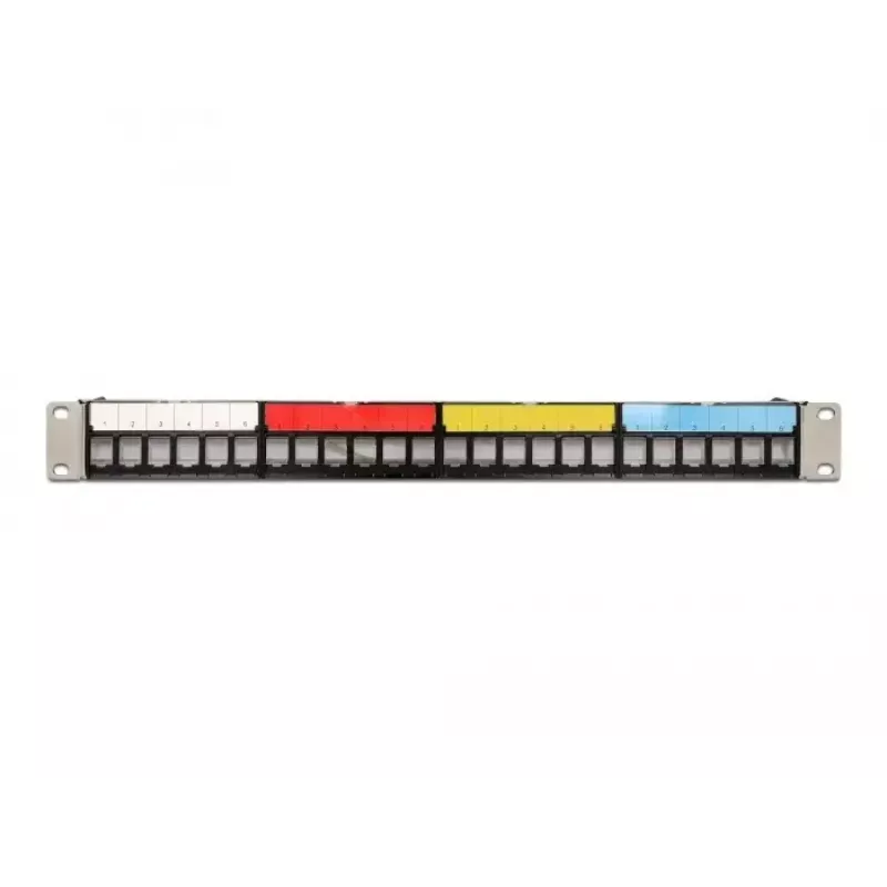 Patch Panel DeLOCK 19 ιντσών 24 θυρών με ράγα οδήγησης καλωδίων