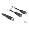 Καλώδιο αισθητήρα/ενεργοποιητή DeLOCK 5 m M12 2 x USB Type-A μαύρο 60652