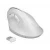 Ποντίκι DeLOCK 12596 Office δεξιόχειρας RF Wireless 1600 DPI