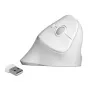 Ποντίκι DeLOCK 12596 Office δεξιόχειρας RF Wireless 1600 DPI