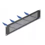 DeLOCK 67036 τυφλό πάνελ 19" με στρογγυλές οπές, 2U, μαύρο