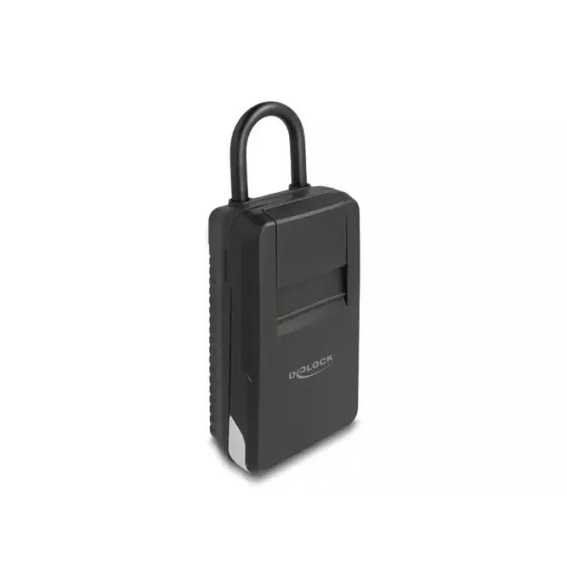 Κουτί κλειδιών DeLOCK 20933