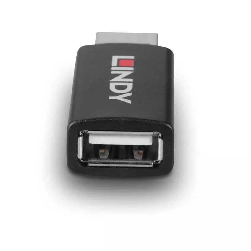 Lindy 71263 Προσαρμογέας USB USB Τύπου A Μαύρο