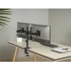 Equip 17 ιντσών-32 ιντσών αρθρωτή βάση διπλής οθόνης για γραφείο