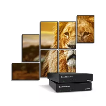 Matrox QuadHead2Go Q155 Πολυ-οθονικός Ελεγκτής Συσκευή / Q2G-H4K2