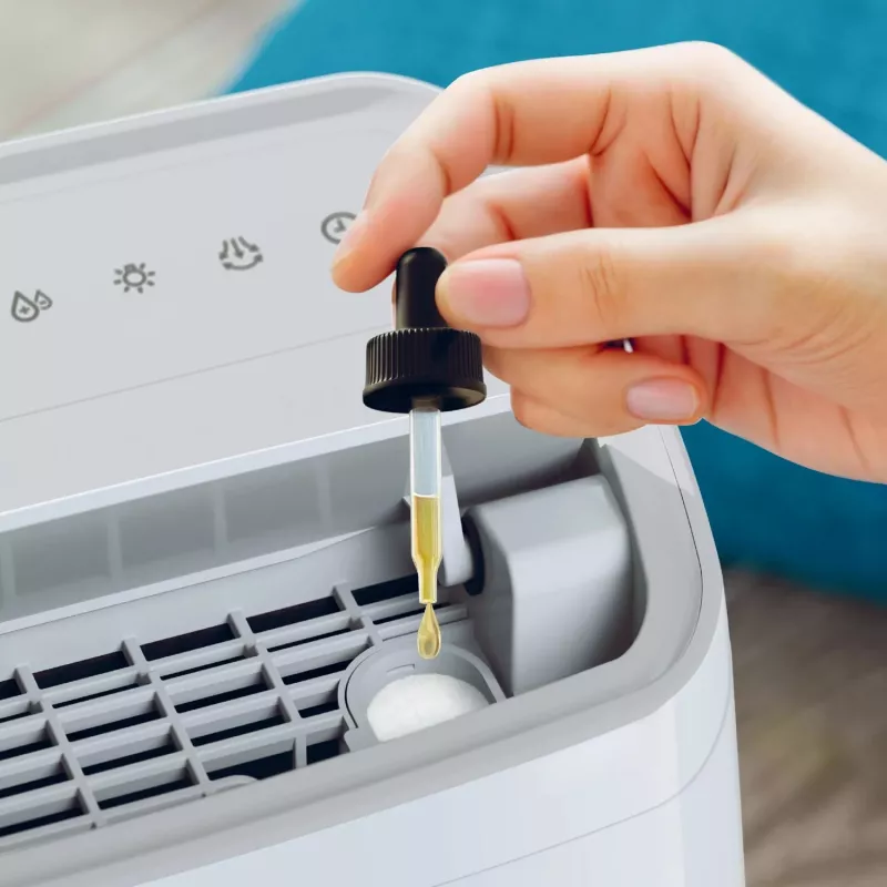 Philips 3000 series DE3306/11 Αφυγραντήρας 4 L 51 dB Λευκό, Ανοιχτό γκρι