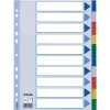 Esselte Διαχωριστικά PP A4 Blankoregister Πολύχρωμο 225x297mm