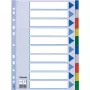 Esselte Διαχωριστικά PP A4 Blankoregister Πολύχρωμο 225x297mm