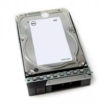 DELL 161-BCJX εσωτερικός σκληρός δίσκος 12 TB 7200 RPM 3,5 ίντσες NL-SAS