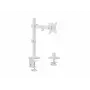 Equip Βάση γραφείου οθόνης με αρθρώσεις 17 inch-32 inch, Λευκό