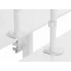 Equip Βάση γραφείου οθόνης με αρθρώσεις 17 inch-32 inch, Λευκό