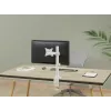 Equip Βάση γραφείου οθόνης με αρθρώσεις 17 inch-32 inch, Λευκό