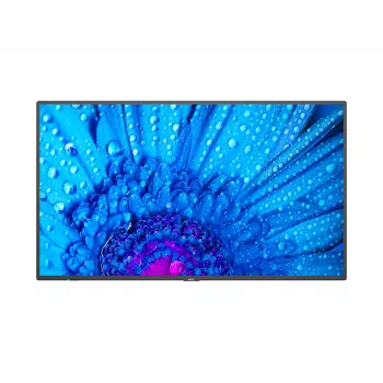 NEC MultiSync M491 Digital Signage επίπεδη οθόνη 124,5 cm (49 ίντσες) IPS 500 cd/m² 4K Ultra HD μαύρο 24/7