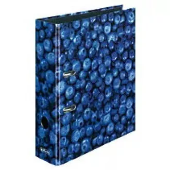 Ντοσιέ με κρίκους Herlitz 11080660 A4 πολύχρωμο