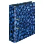 Ντοσιέ με κρίκους Herlitz 11080660 A4 πολύχρωμο