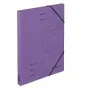 Ντοσιέ χαρτόνι μωβ A4 Herlitz 11255452