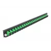 Μπροστινό πάνελ splice box DeLOCK 19 ιντσών 24 Port SC Simplex πράσινο