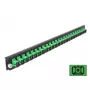 Μπροστινό πάνελ splice box DeLOCK 19 ιντσών 24 Port SC Simplex πράσινο