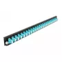Μπροστινό πάνελ splice box DeLOCK 19 ιντσών 24 Port LC Duplex Aqua