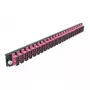 Μπροστινό πάνελ splice box DeLOCK 19 ιντσών 24 Port SC Duplex μωβ
