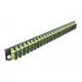 Μπροστινό πάνελ splice box DeLOCK 19 ιντσών 24 Port SC Duplex ανοιχτό πράσινο